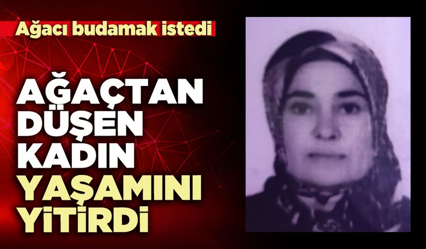 Ağaçtan düşen kadın yaşamını yitirdi