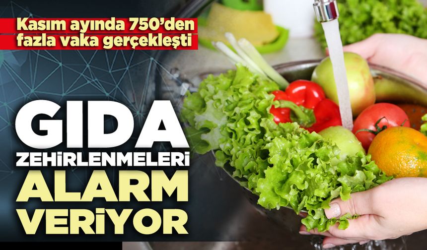 Gıda zehirlenmeleri alarm veriyor