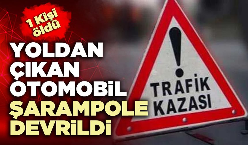 Yoldan çıkan otomobil şarampole devrildi; 1 ölü