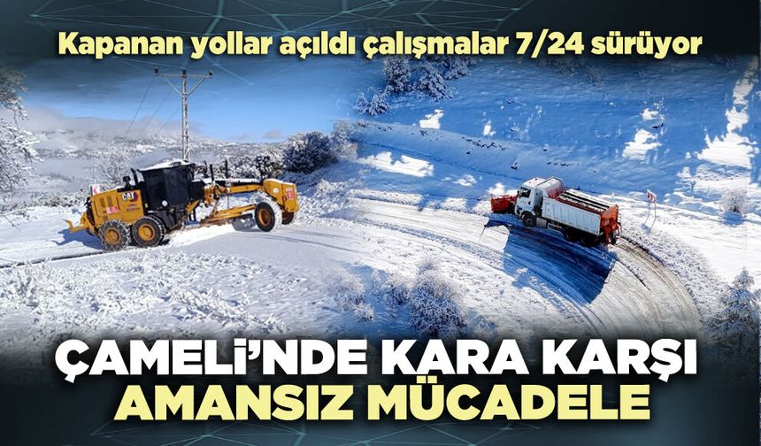 Çameli’nde kara karşı amansız mücadele
