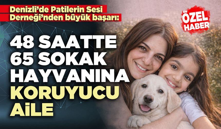 48 saatte 65 sokak hayvanına koruyucu aile