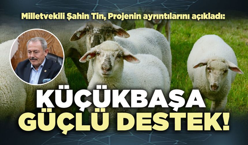 Milletvekili Şahin Tin, Projenin ayrıntılarını açıkladı: Küçükbaşa güçlü destek!