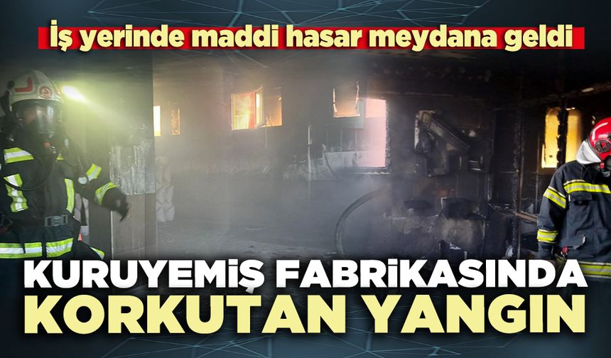 Kuruyemiş fabrikasında korkutan yangın