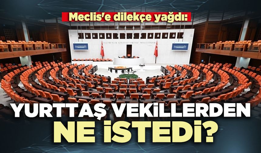 Meclis'e dilekçe yağdı: Yurttaş vekillerden ne istedi?