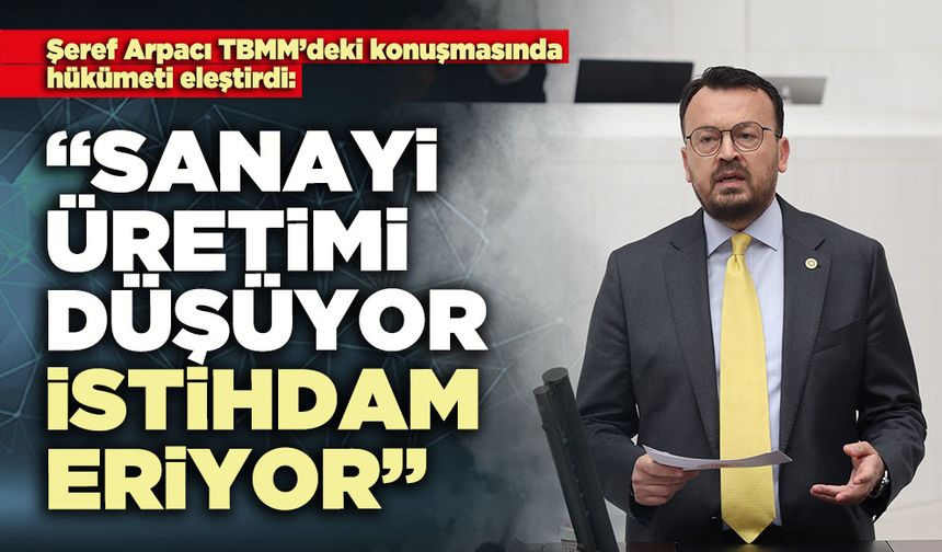 Şeref Arpacı: “Sanayi üretimi düşüyor, istihdam eriyor”