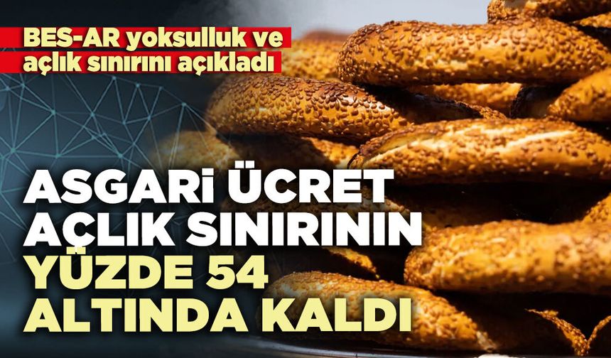 BES-AR açıkladı: Asgari ücret açlık sınırının yüzde 54 altında kaldı