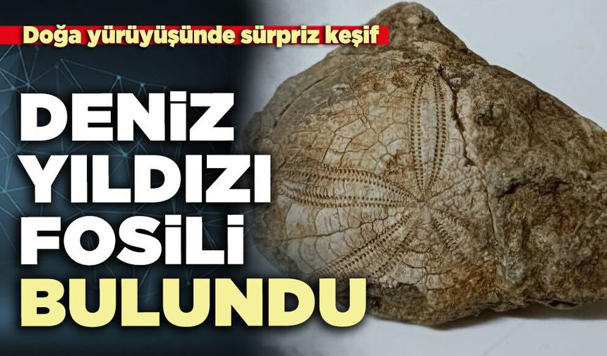 Baklan’da deniz yıldızı fosili bulundu