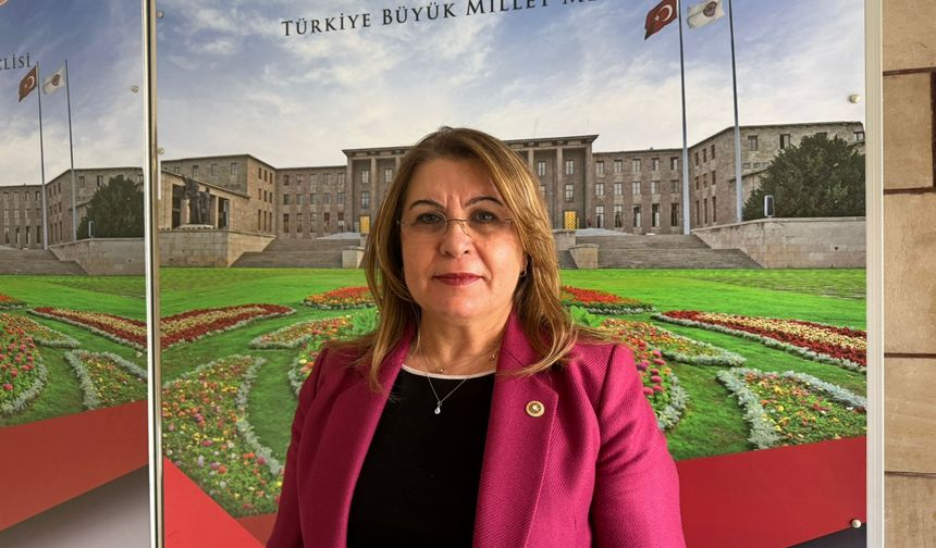 Biçer Karaca’dan Denizli’nin Su Sorunu İçin Meclis Araştırması Önergesi