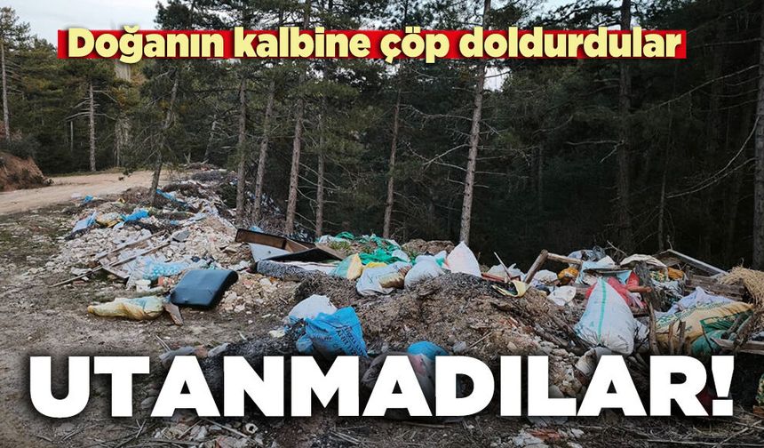Utanmadılar! Doğanın kalbine çöp doldurdular