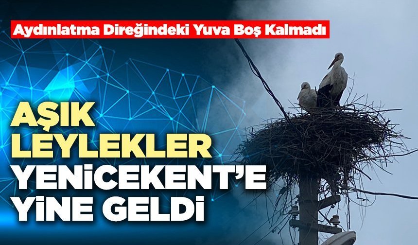 Aşık Leylekler Yenicekent’e Yine Geldi