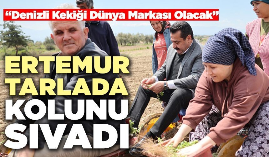 Ertemur Tarlada Kolunu Sıvadı