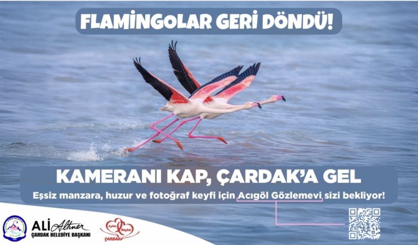 Çardak Belediyesi Flomingalar geri döndü hpopup reklamı 29 nisan