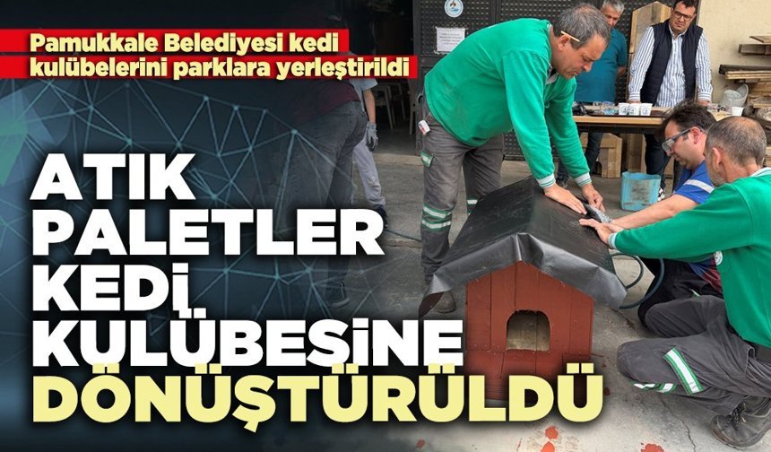 Atık paletler kedi kulübesine dönüştürüldü