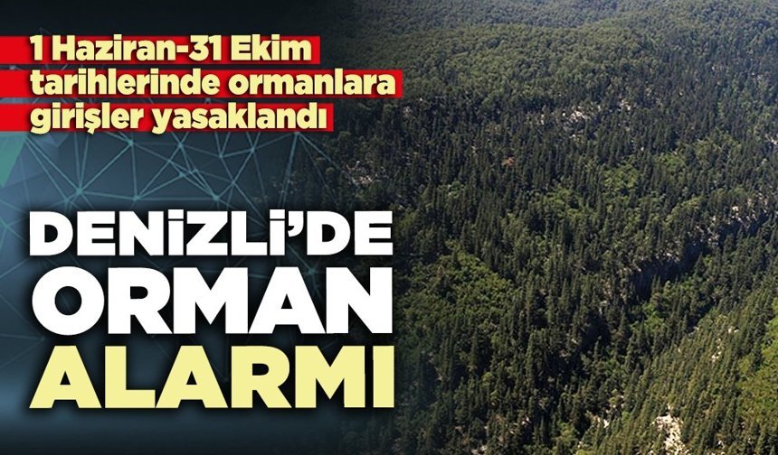 Denizli’de orman alarmı