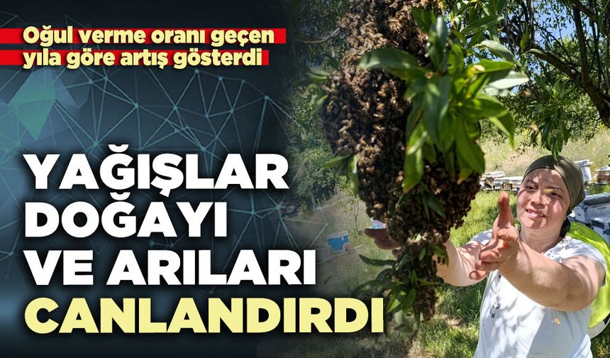 Yağışlar doğayı ve arıları canlandırdı