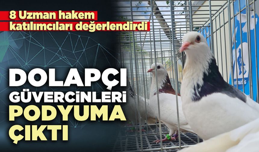 Dolapçı güvercinleri podyuma çıktı