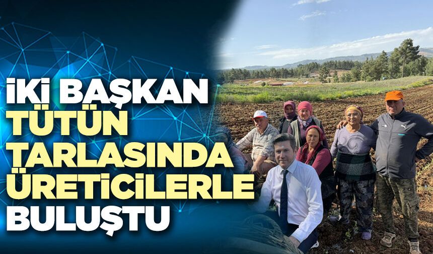 İki Başkan Tütün Tarlasında Üreticilerle Buluştu
