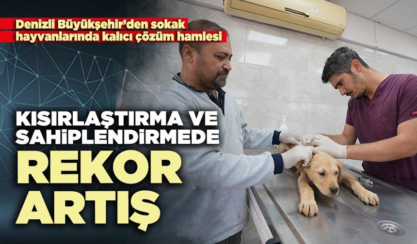 Kısırlaştırma ve sahiplendirmede rekor artış