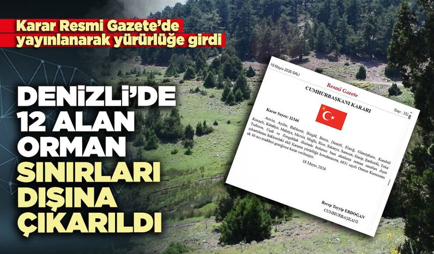 Denizli’de 12 alan orman sınırları dışına çıkarıldı