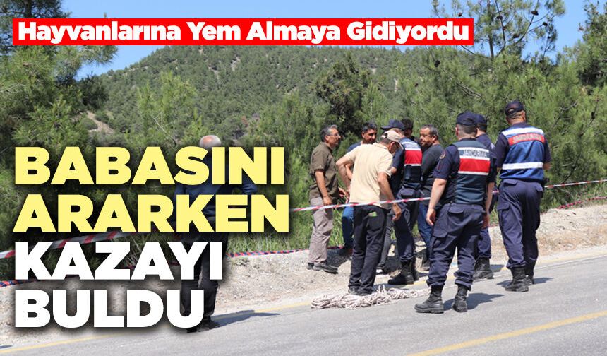 Babasını Ararken Kazayı Buldu