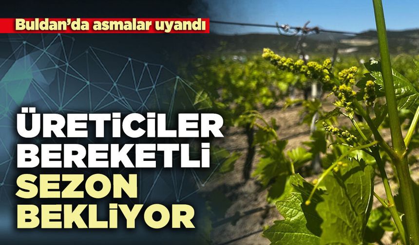 Üreticiler bereketli sezon bekliyor