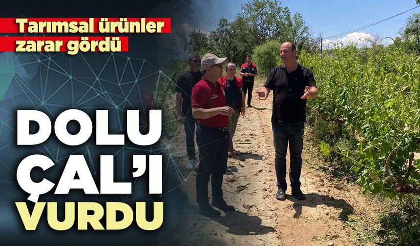 Dolu Çal’ı vurdu, tarımsal ürünler zarar gördü