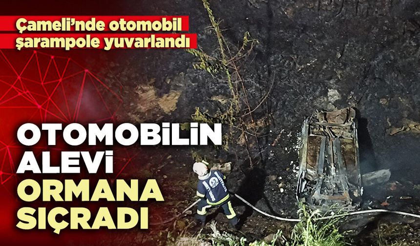 Otomobilin alevi ormana sıçradı