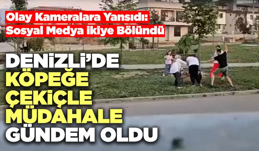 Denizli’de Köpeğe Çekiçle Müdahale Gündem Oldu