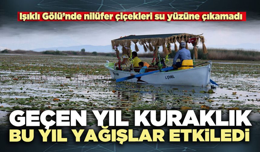 Geçen yıl kuraklık bu yıl yağışlar etkiledi
