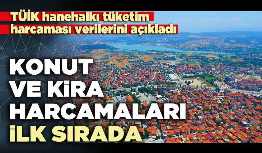 Konut ve kira harcamaları ilk sırada