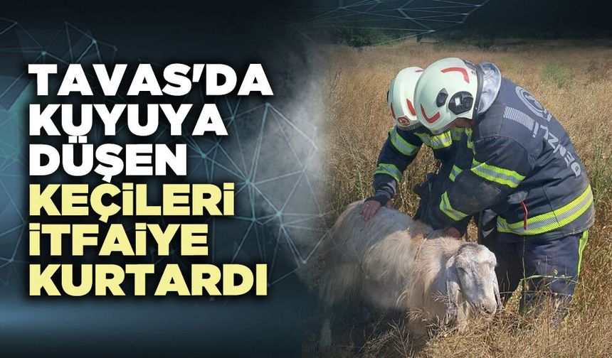 Tavas'da kuyuya düşen keçileri itfaiye kurtardı