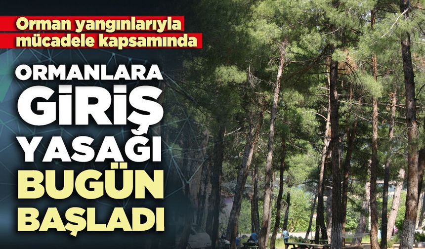 Ormanlara giriş yasağı bugün başladı