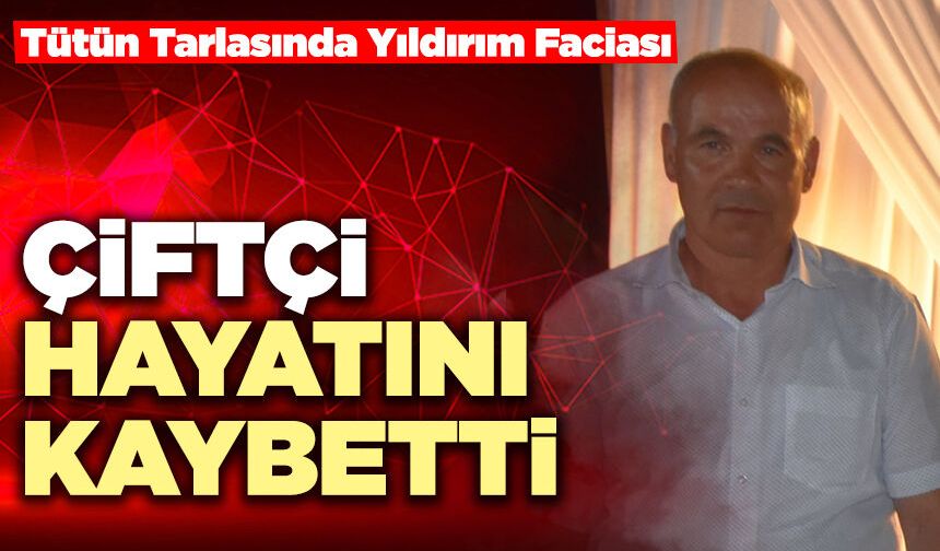 Tütün Tarlasında Yıldırım Faciası