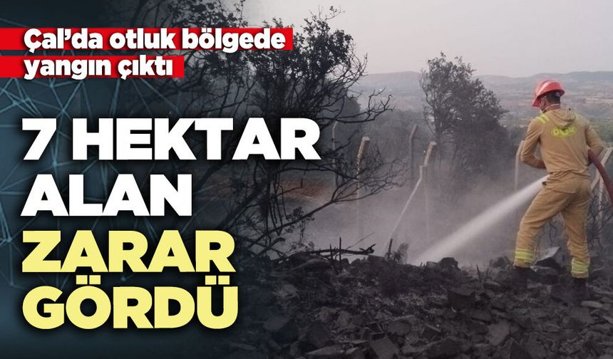 Çal’da otluk bölgede çıkan yangında 7 Hektar alan zarar gördü