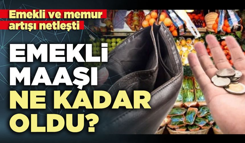 Emekli maaşı ne kadar oldu?