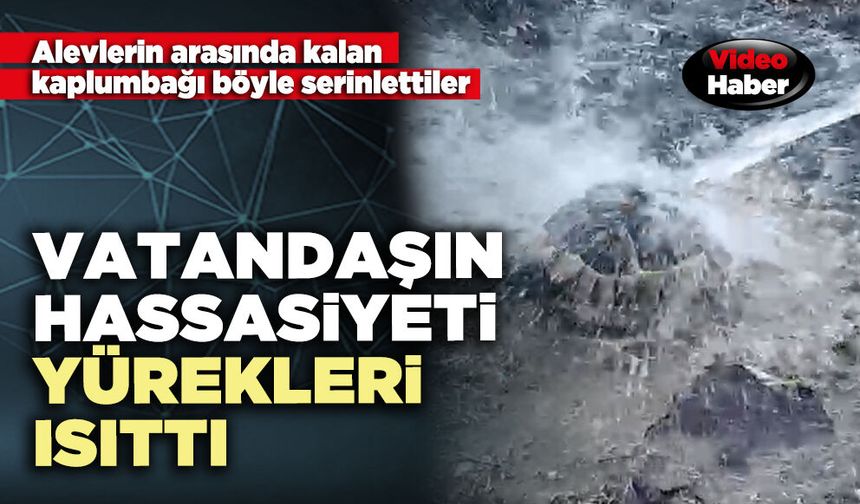 Vatandaşın hassasiyeti yürekleri ısıttı