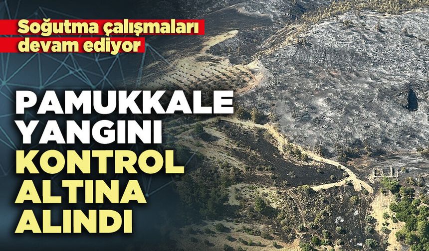 Pamukkale yangını kontrol altına alındı