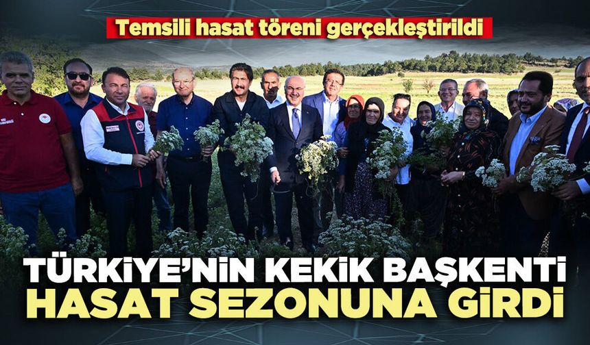 Türkiye’nin kekik başkenti hasat sezonuna girdi