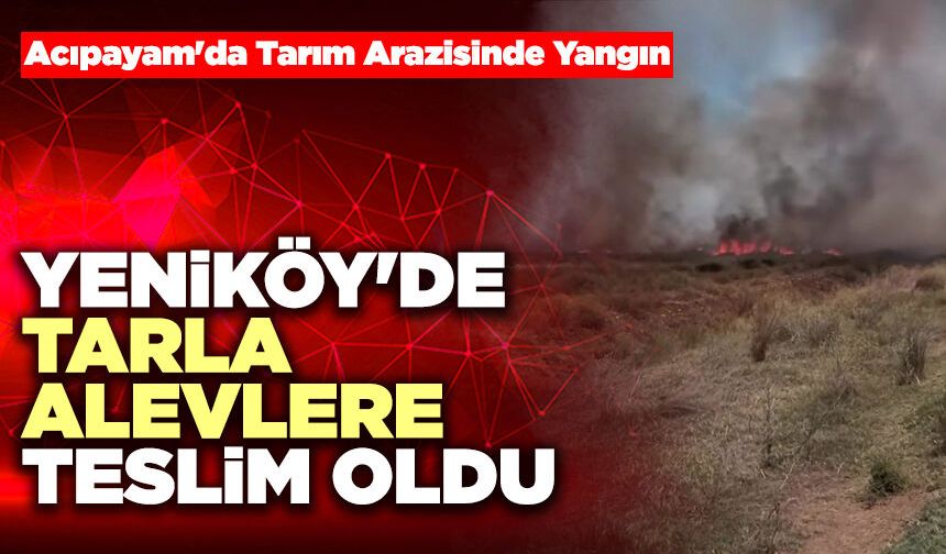 Yeniköy'de Tarla Alevlere Teslim Oldu