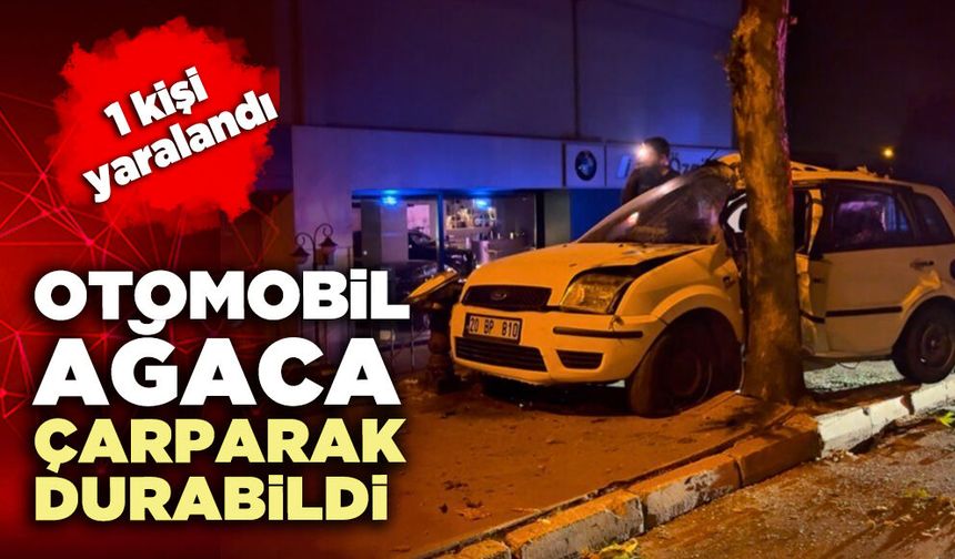 Otomobil ağaca çarparak durabildi