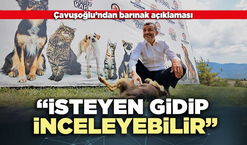 Çavuşoğlu’ndan barınak açıklaması: “İsteyen gidip inceleyebilir”