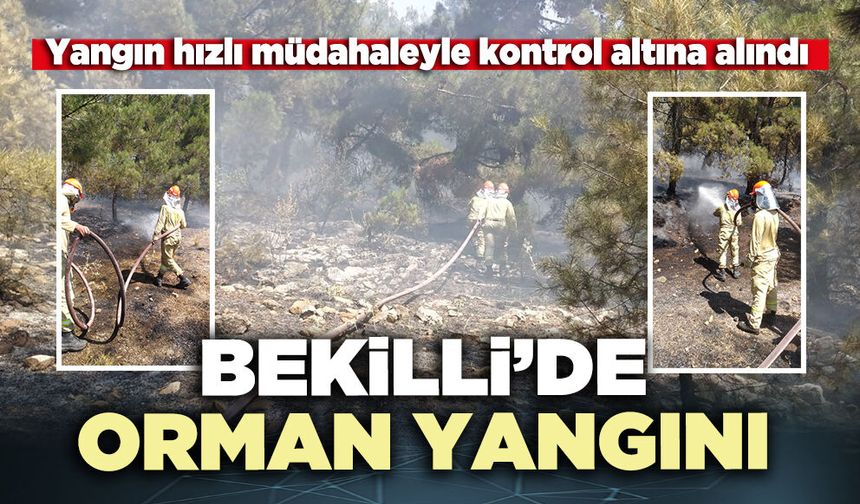 Bekilli’de orman yangını