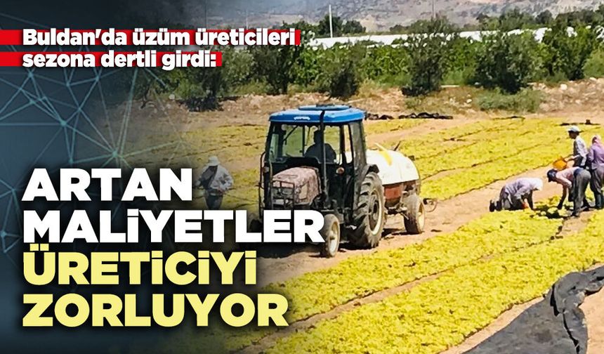 Buldan'da üzüm üreticileri sezona dertli girdi: Artan maliyetler üreticiyi zorluyor