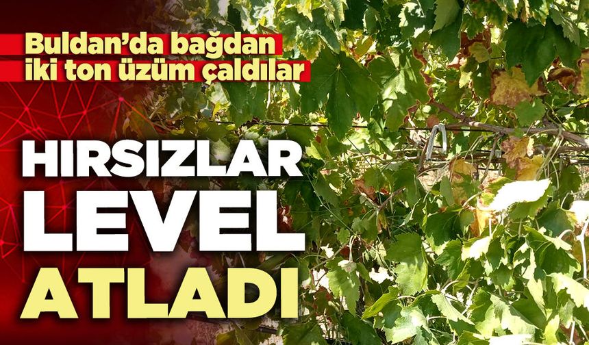 Hırsızlık level atladı
