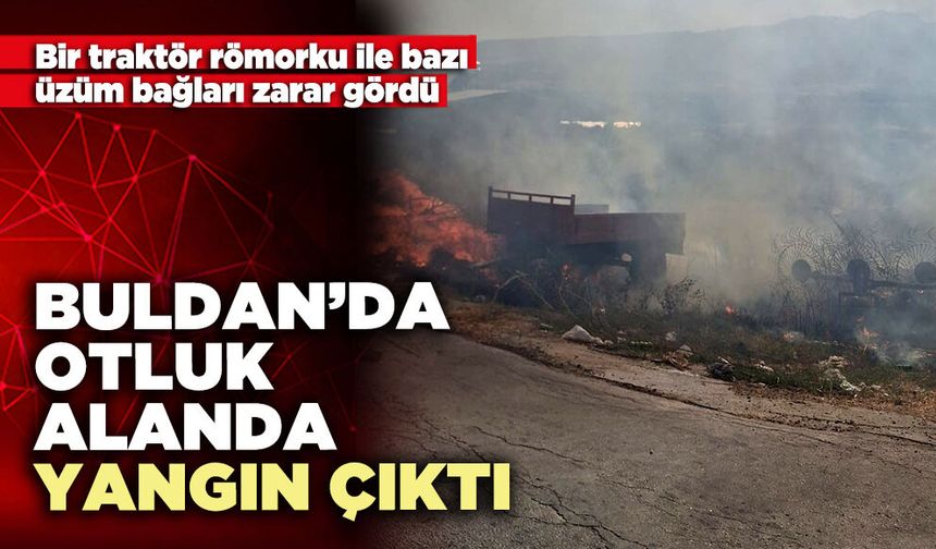 Buldan’da otluk alanda yangın çıktı