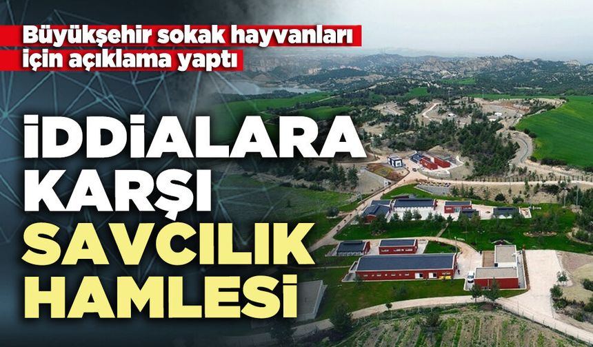 Büyükşehir sokak hayvanları için açıklama yaptı: İddialara Karşı savcılık hamlesi