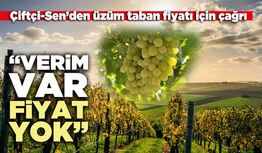 Çiftçi-Sen’den üzüm taban fiyatı için çağrı: “Verim var, fiyat yok”