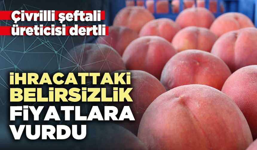 İhracattaki belirsizlik fiyatlara vurdu