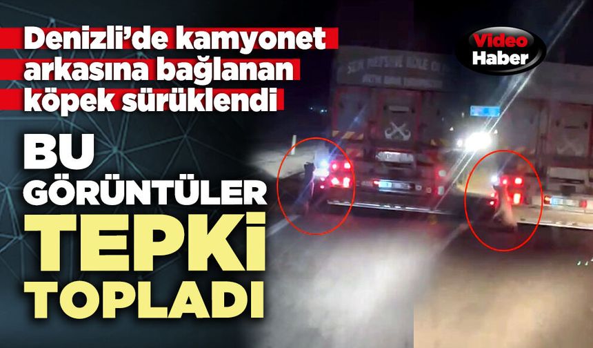 Bu görüntüler tepki topladı