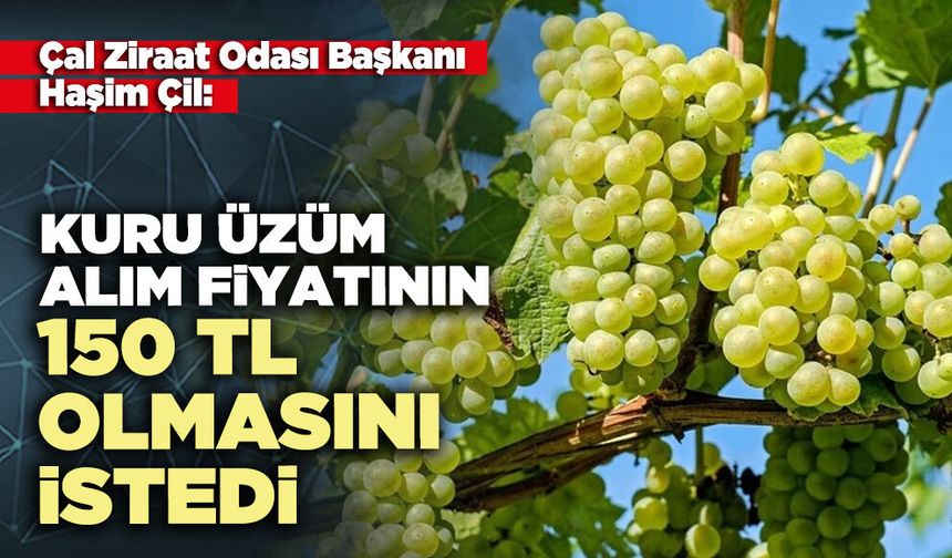Çal Ziraat Odası Başkanı Haşim Çil: Kuru üzüm alım fiyatının 150 tl olmasını istedi